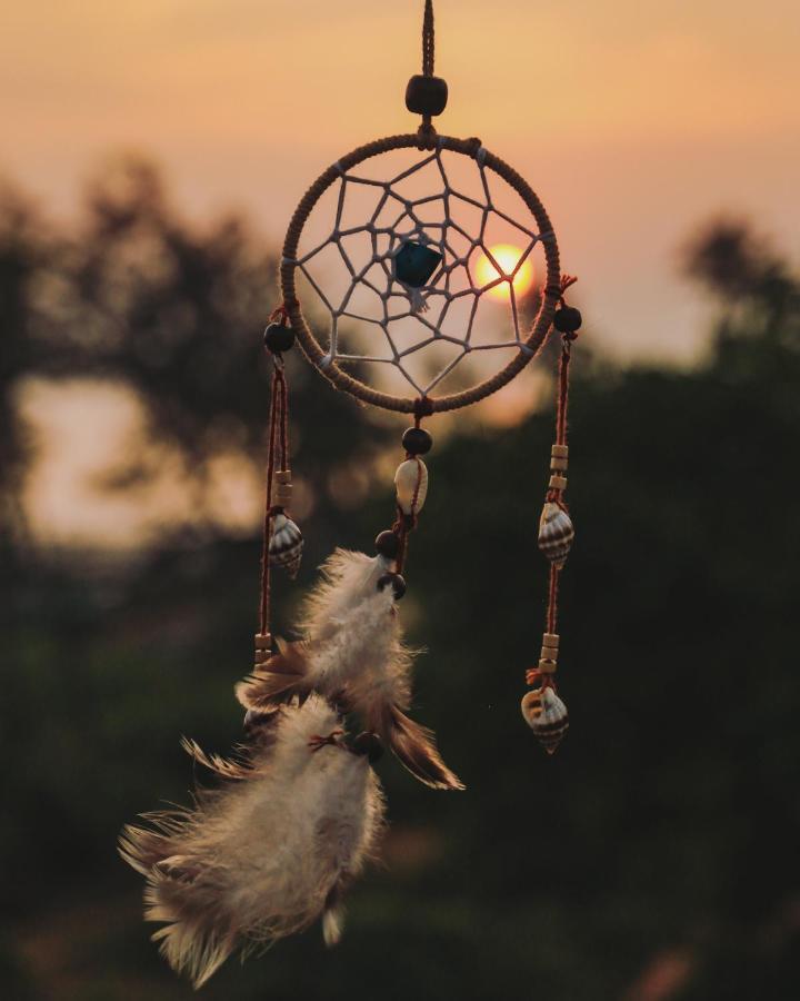 Dreamcatcher House & Hostel At Arambol Beach ภายนอก รูปภาพ